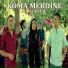 Koma Mêrdinê