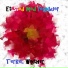 Terkel Winther