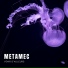 METAMEC