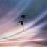Haptic, Arash Shadram