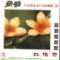 Fang Jinlong