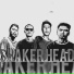 Shaker Head