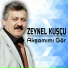 Zeynel Kuşçu
