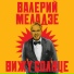 Наиль Маннапов