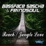 Bassface Sascha, Feindsoul