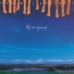 Paul McCartney 1993 Off The Ground