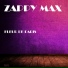 Zappy Max