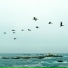 Chill Out, Meditación Musical, Study Alpha Waves