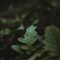 Deep Sleep, Spa, Study Music Library