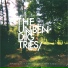 The Unbending Trees feat. Tracey Thorn