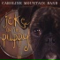 Caroline Mountain Band