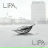 Jaka Škapin