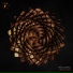 Cynical Gene