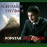 Pop Star Ercan Tok