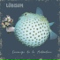Lobison