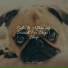 Sleeping Music For Dogs, Sleepy Dogs, Relaxmydog