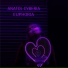 Anatol Cyberia