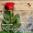 ILYA GUSEV . WWW.ILYA-GUSEV.RU 165-165 MAIL.RU