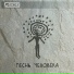 Свод