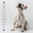 Hundmusik oas