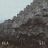 REA