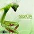 Mantis Mating Call