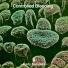 Controlled Bleeding