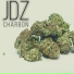 JDZ