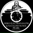 Sisko Electrofanatik, Natalino Nunes