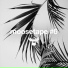 Moose Records