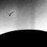 quietpoet