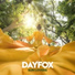 DayFox