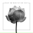 Om Meditation Music Academy