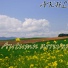 AKHL