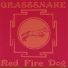 GRASSSNAKE
