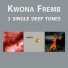 Kwona Fremb
