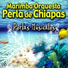 Marimba Orquesta Perla de Chiapas