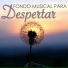 Despertar Natural