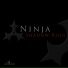 Cyber Ninja