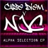 Carpe Diem, NJC, Shahin Badar