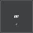 June300