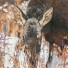 Chandler Beuns