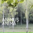 Animus Anima