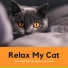 Oasis of Cats