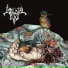 Immortal Bird