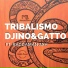 Djino Winedo, Gatto Gabriel feat. Raggaman Jah