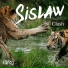 Sislaw