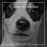 Dog Chill Out Music