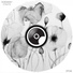 Otolith