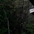 Calm Down, Sons da natureza HD, Sol y Lluvia